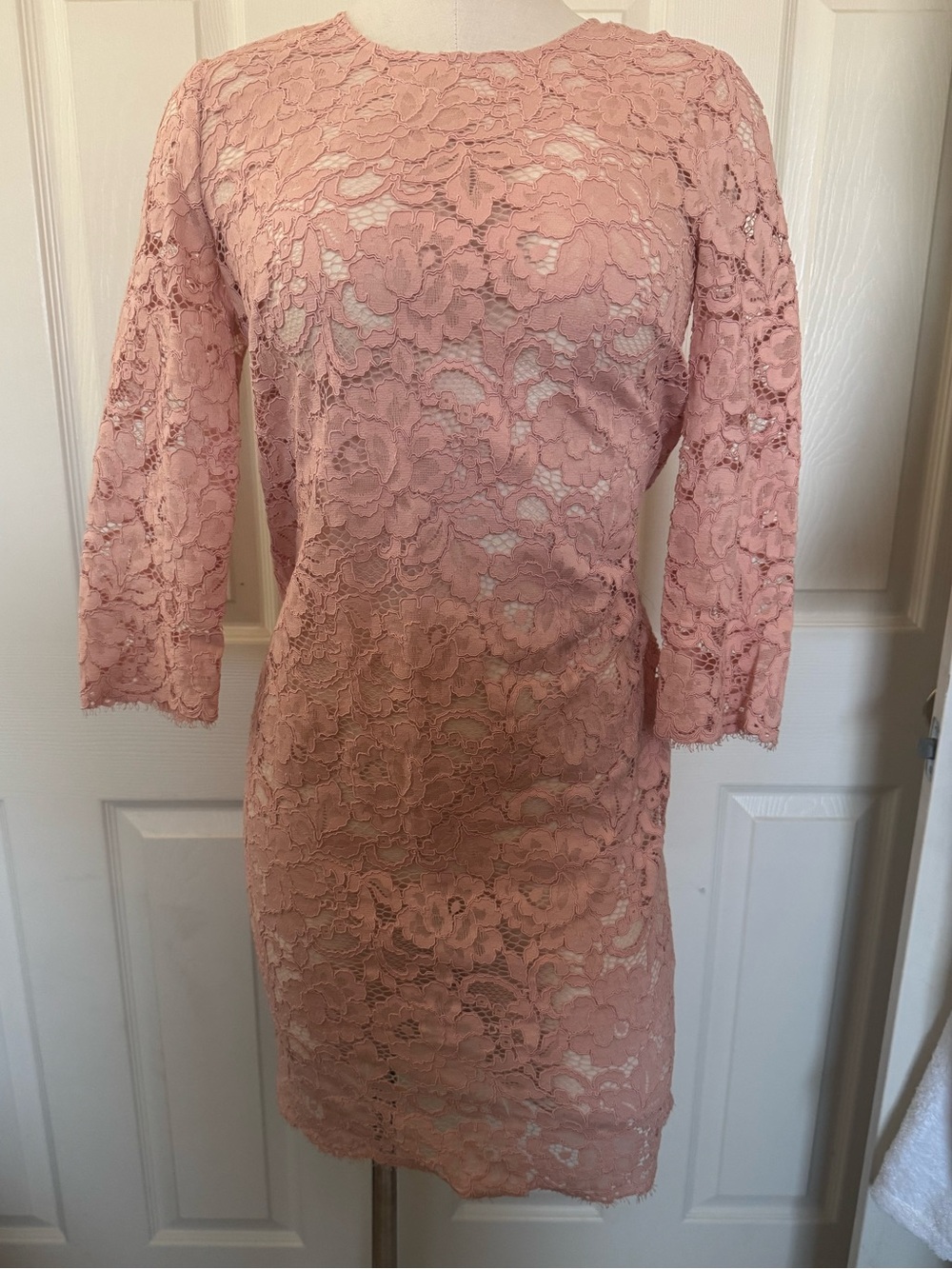 DKNYC Dusky Pink Lace Long Sleeve Sheath Dress